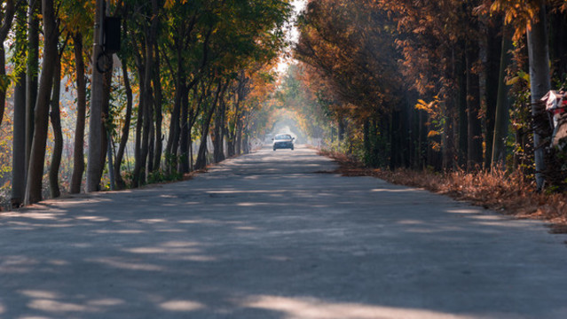 鄉(xiāng)村公路秋景