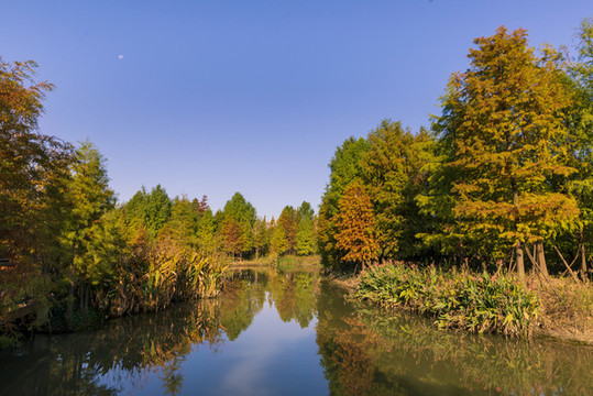 秋景