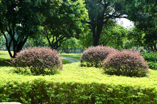 風(fēng)景