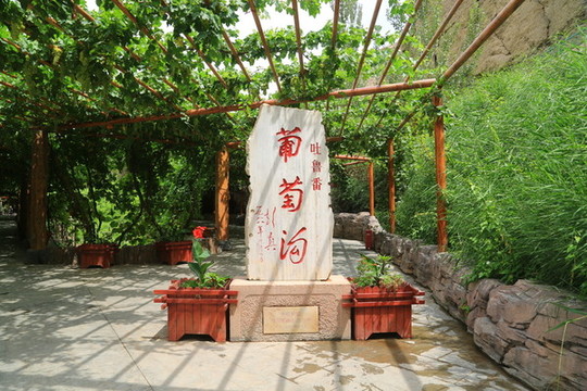 新疆吐魯番葡萄溝