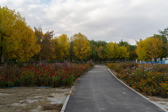 公園