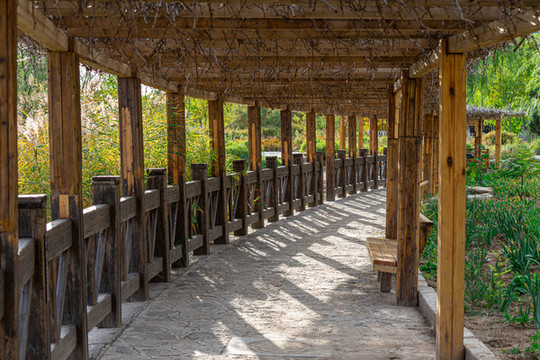 濕地公園
