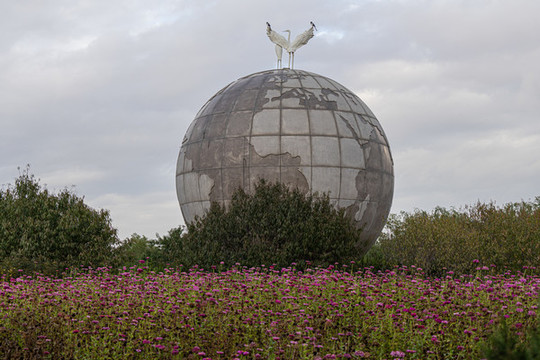 濕地公園