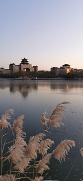 蓮花池公園