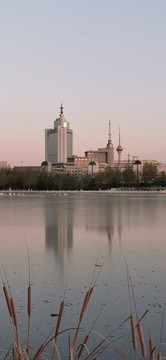 蓮花池公園