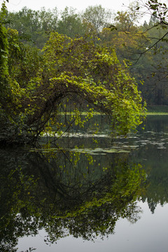 濕地公園