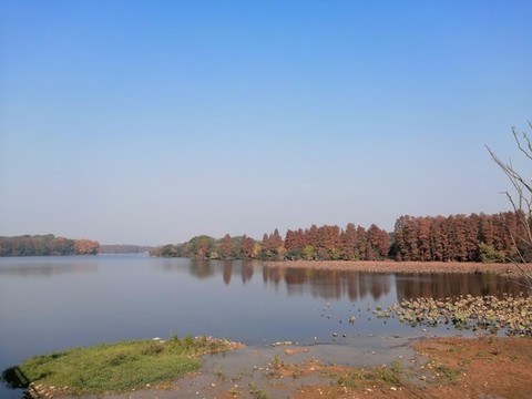 武漢東湖
