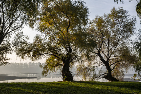 沈陽(yáng)五里河公園
