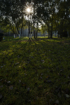 沈陽五里河公園的清晨