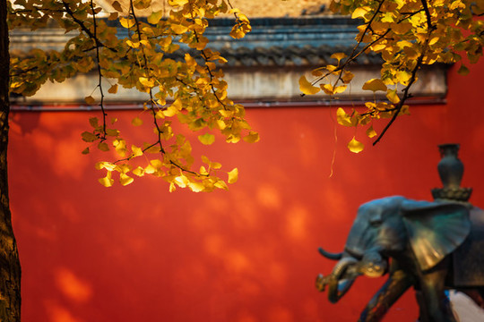 南京棲霞寺秋色