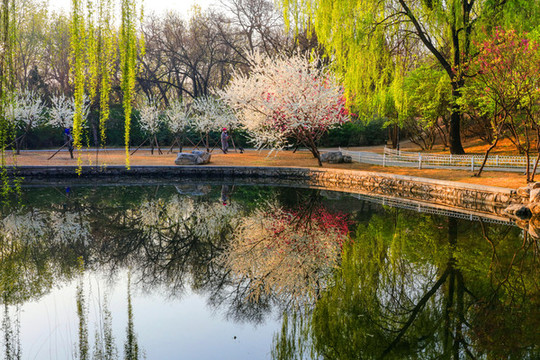 玉淵潭公園