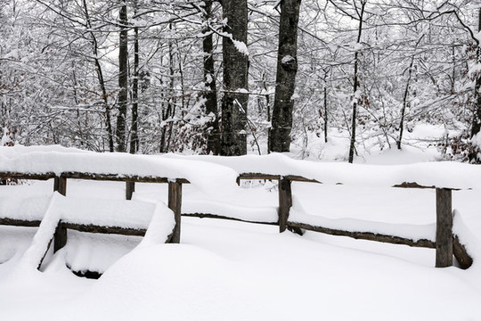 積雪