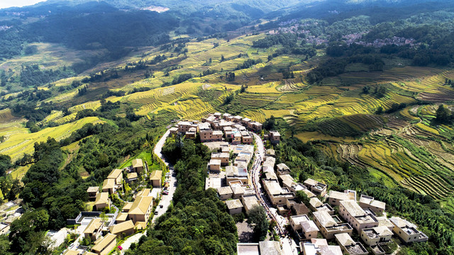 元陽哈尼梯田小