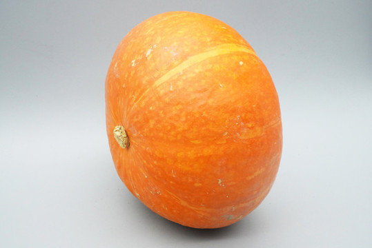 金絲南瓜
