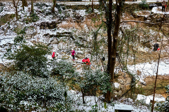 雪中嬉戲