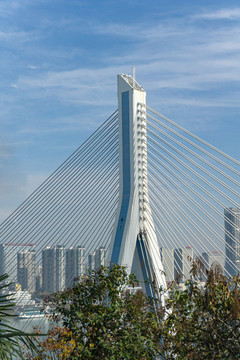 宜昌夷陵長江大橋