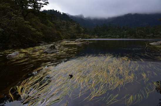 螺髻山高原湖泊森林風(fēng)光