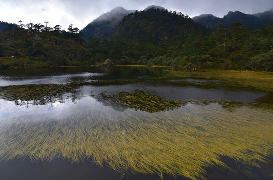 螺髻山高原湖泊森林風(fēng)光