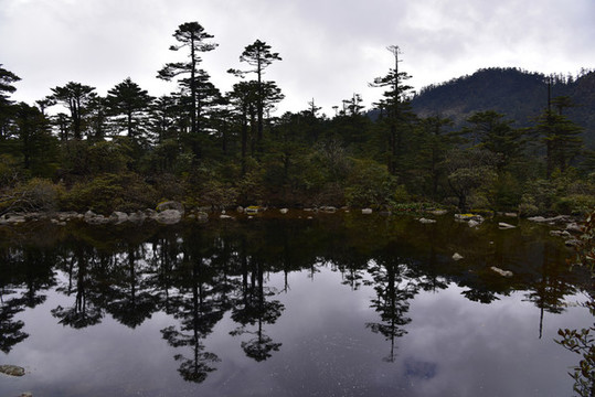 螺髻山高原湖泊森林風(fēng)光