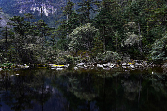 螺髻山高原湖泊森林風(fēng)光