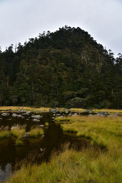 螺髻山高原湖泊森林風(fēng)光