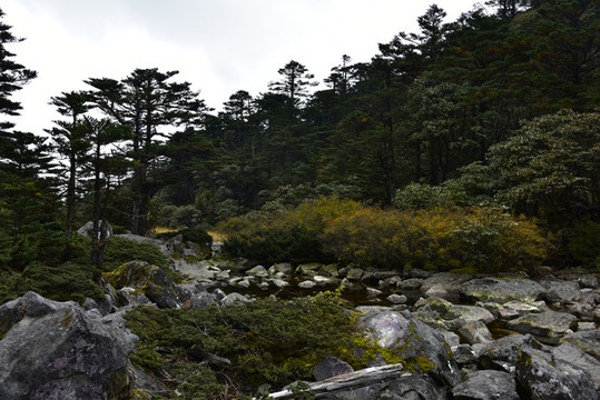 螺髻山高原湖泊森林風光
