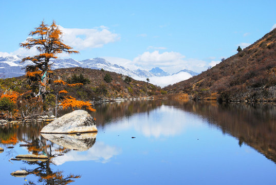 天湖紅松
