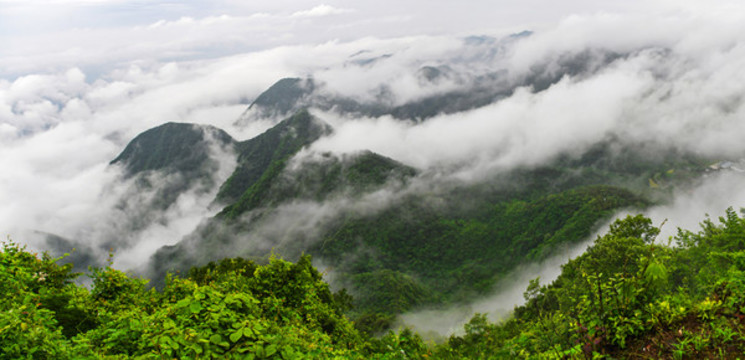 山