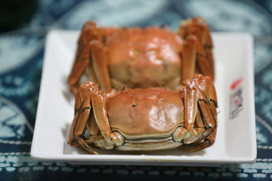 大閘蟹