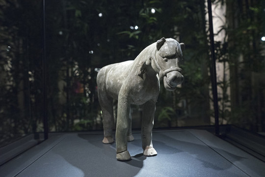 青瓷馬