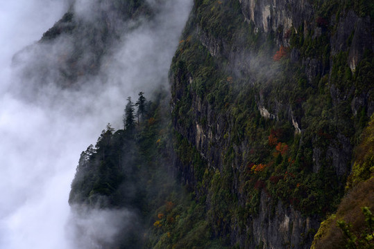 峨眉山云海風(fēng)光