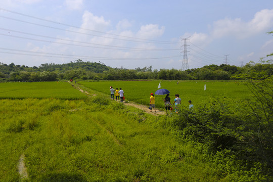 田野的小路上