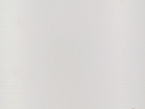 木質(zhì)紋理