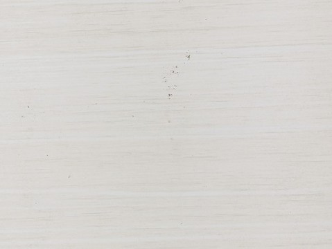 木質紋理