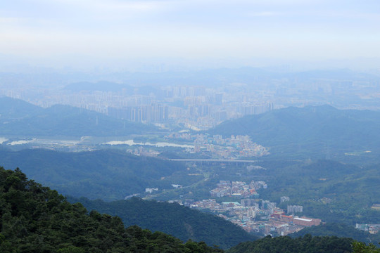 霧氣彌漫的城市