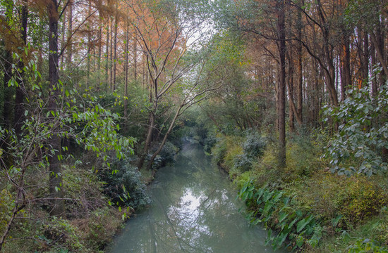 同里國家濕地公園