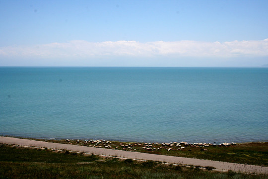 青海湖