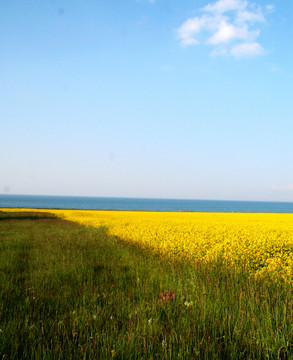 青海湖