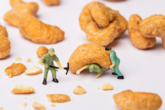 顆粒飽滿的腰果