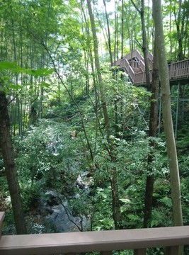 棧道