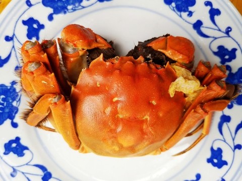 陽澄湖大閘蟹