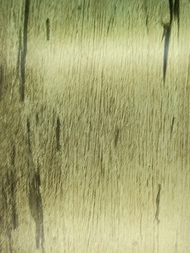 櫥柜門紋理