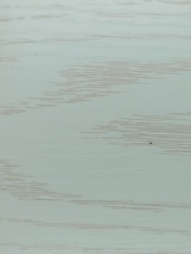 櫥柜門紋理