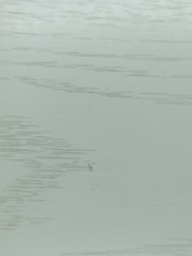 櫥柜門紋理