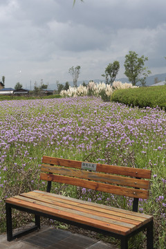 背景素材