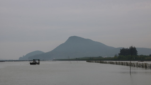 陽西程村蠔排