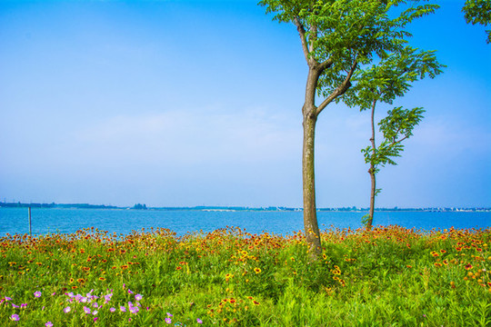 湖景