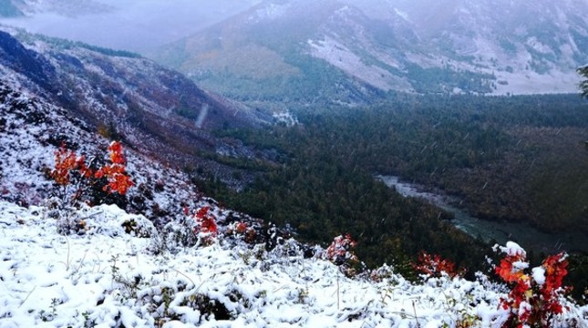雪韻