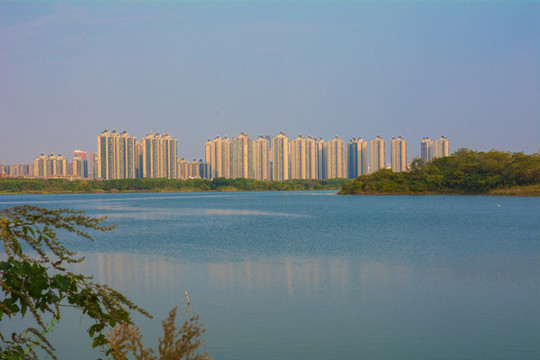 湖景
