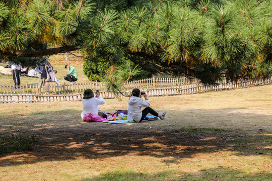 青島中山公園